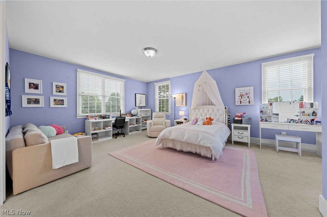 7582 Worlington Drive Solon OH 44139