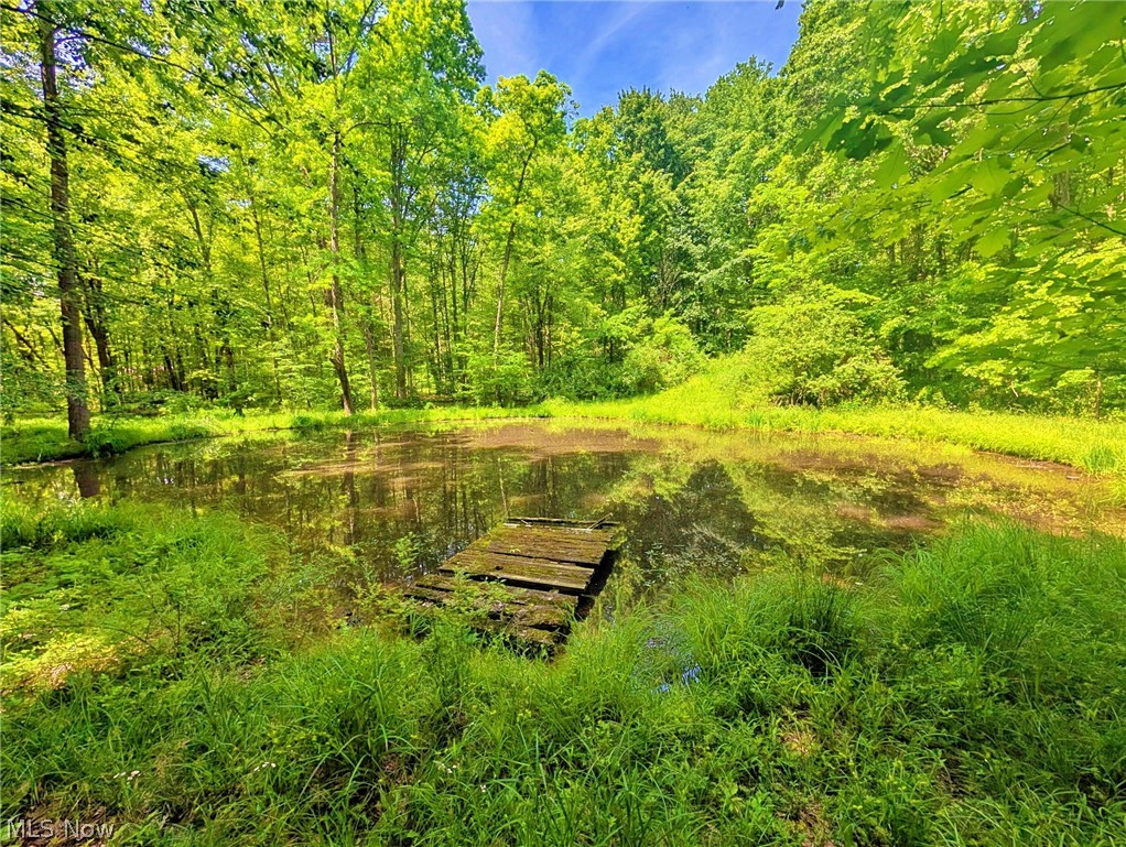 4233 County Line Road Diamond OH 44412