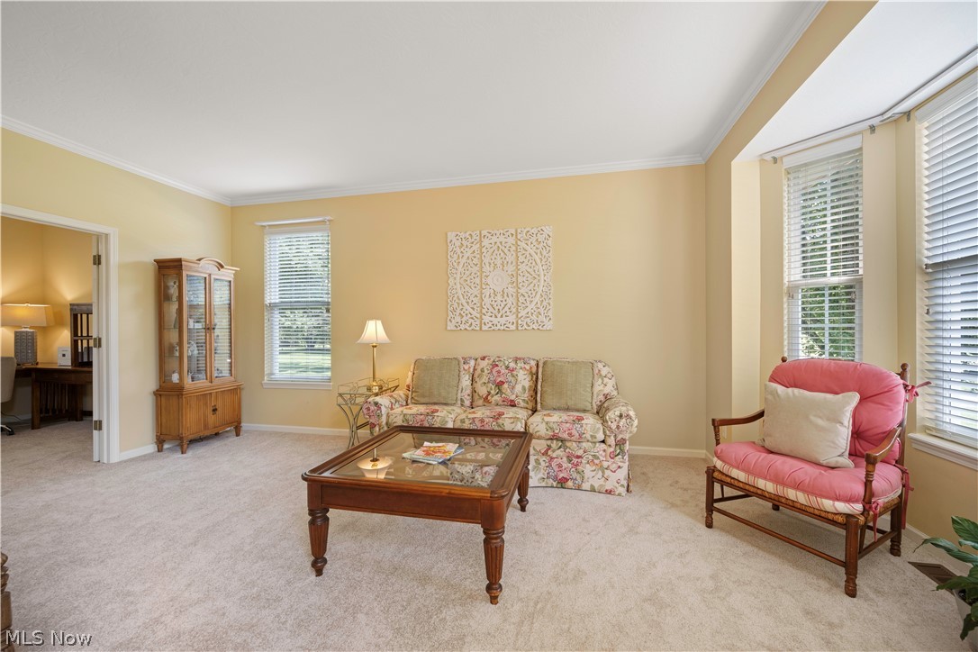 36316 S Park Drive Avon OH 44011