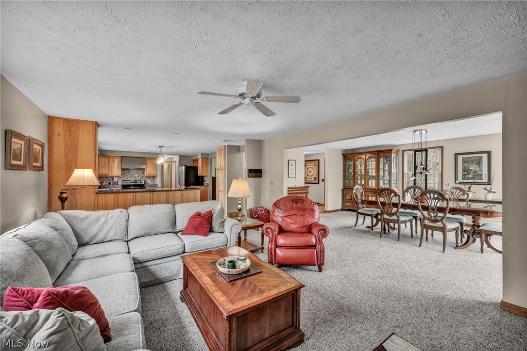 13160 Stoney Springs Drive Chardon OH 44024