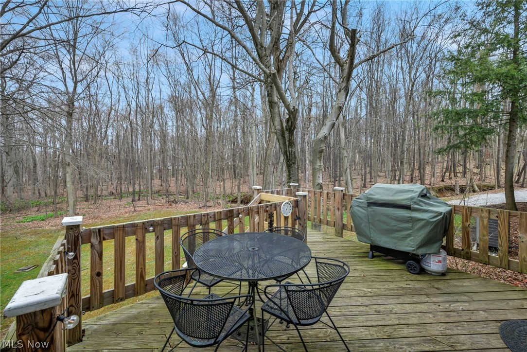 13160 Stoney Springs Drive Chardon OH 44024
