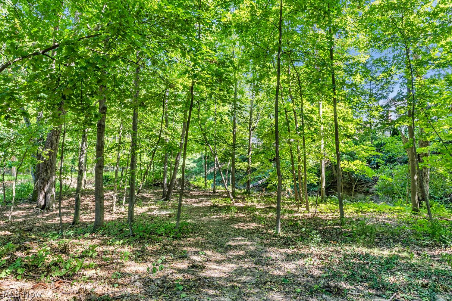 29523 Wolf Road Bay Village OH 44140