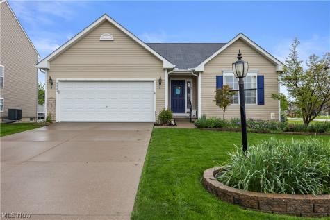 6463 Rubystone Lane Medina OH 44256