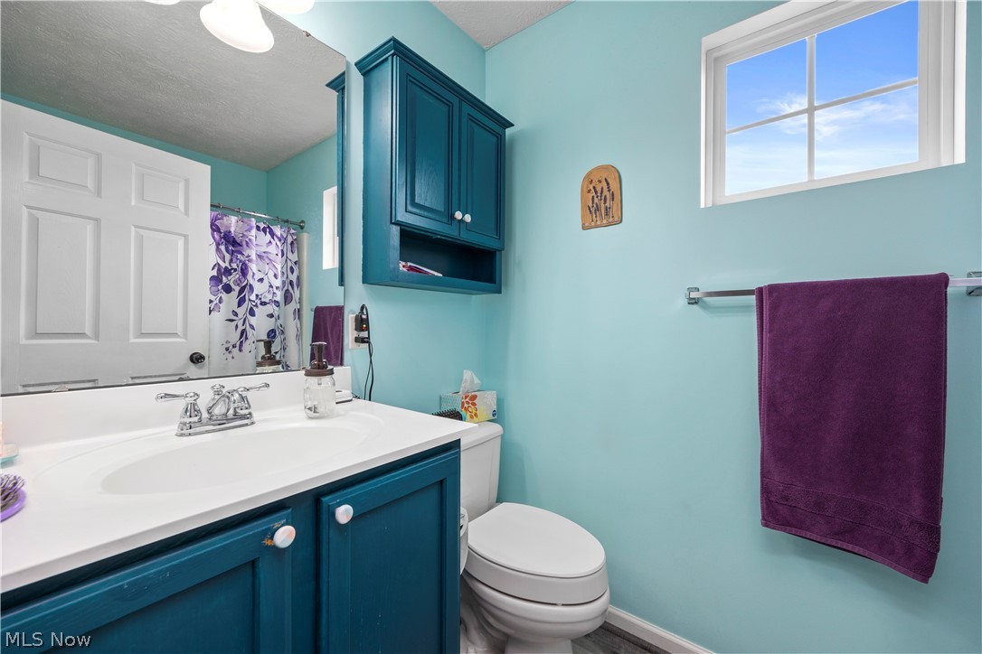 6463 Rubystone Lane Medina OH 44256