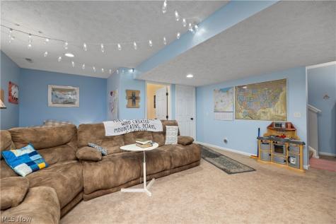 6463 Rubystone Lane Medina OH 44256