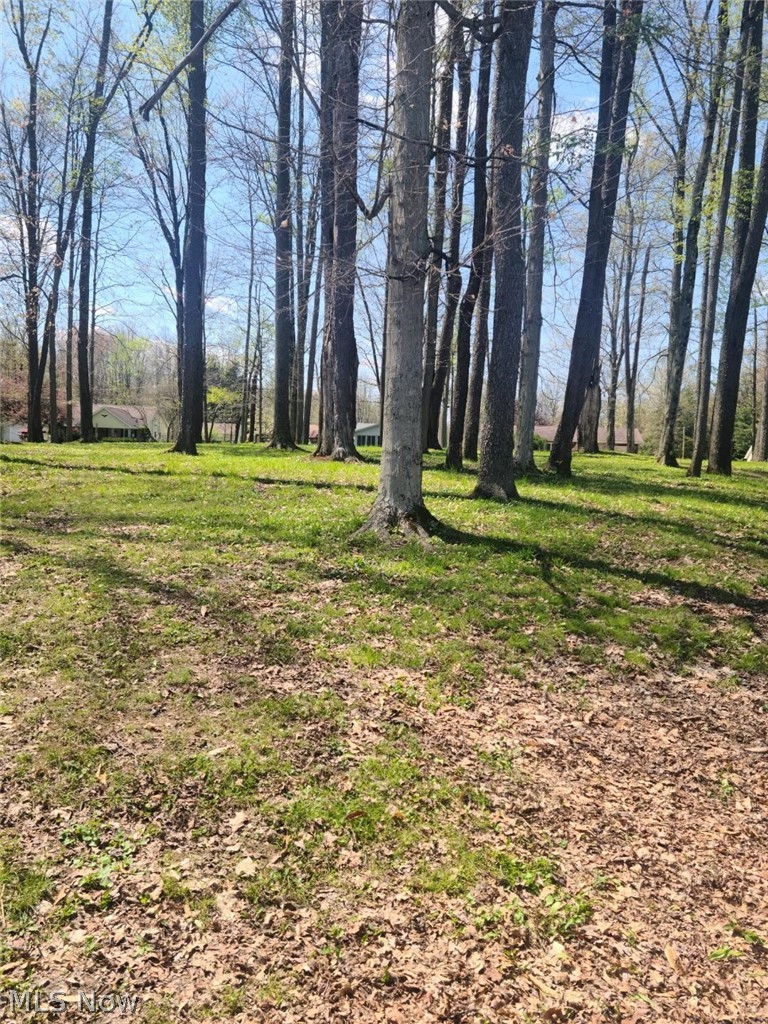 7723 Bayview Drive Williamsfield OH 44093