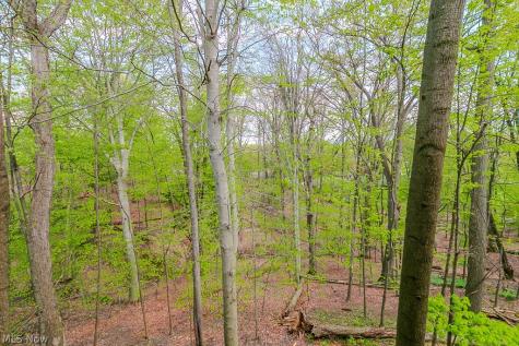 6811 Drexel Drive Seven Hills OH 44131