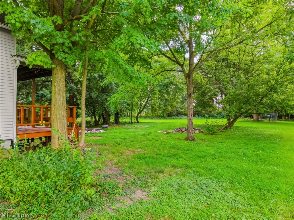 146 Albert Street NE Warren OH 44483