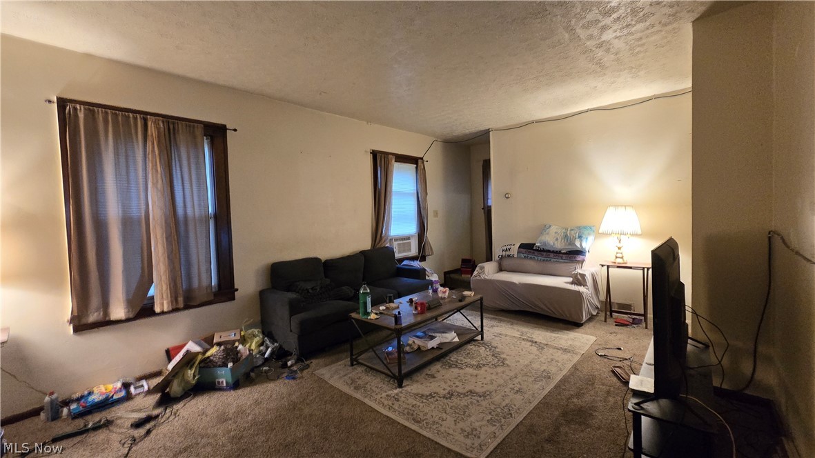 442 Poland Avenue Struthers OH 44471