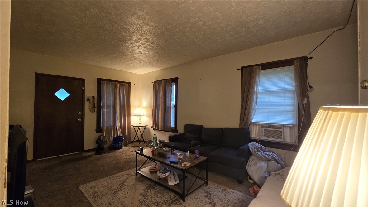442 Poland Avenue Struthers OH 44471