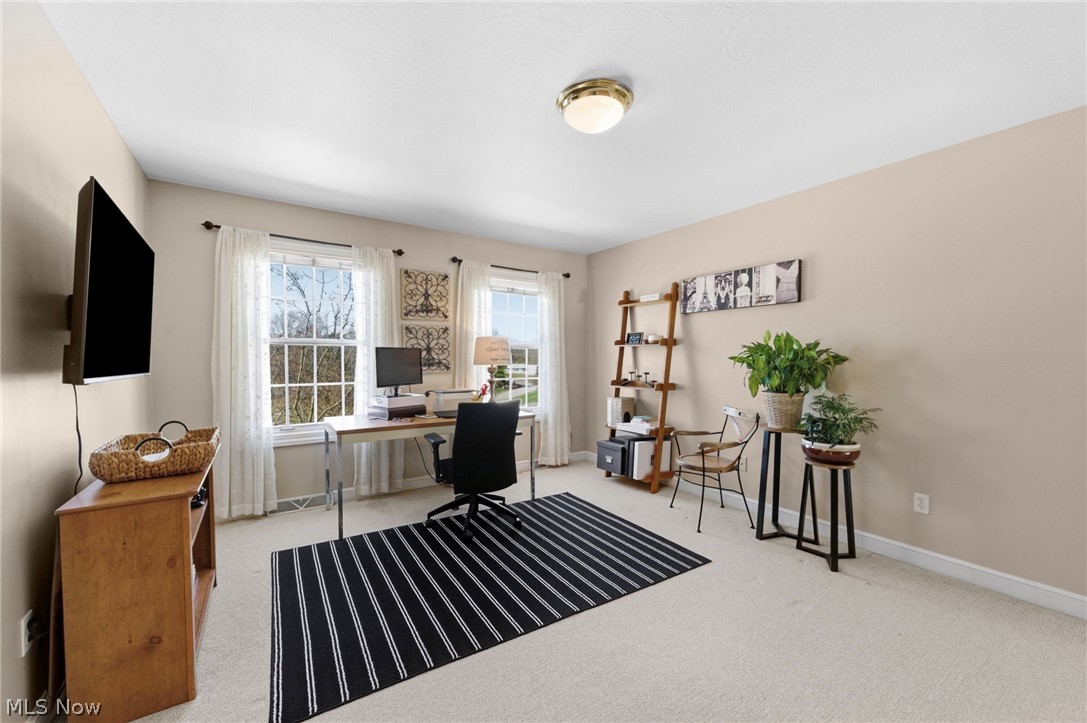 6199 Highland Green Drive Medina OH 44256