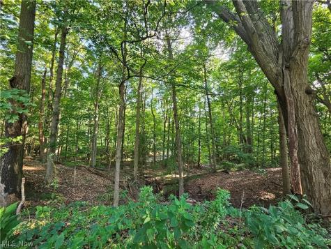 3569 Cleveland Road Wooster OH 44691
