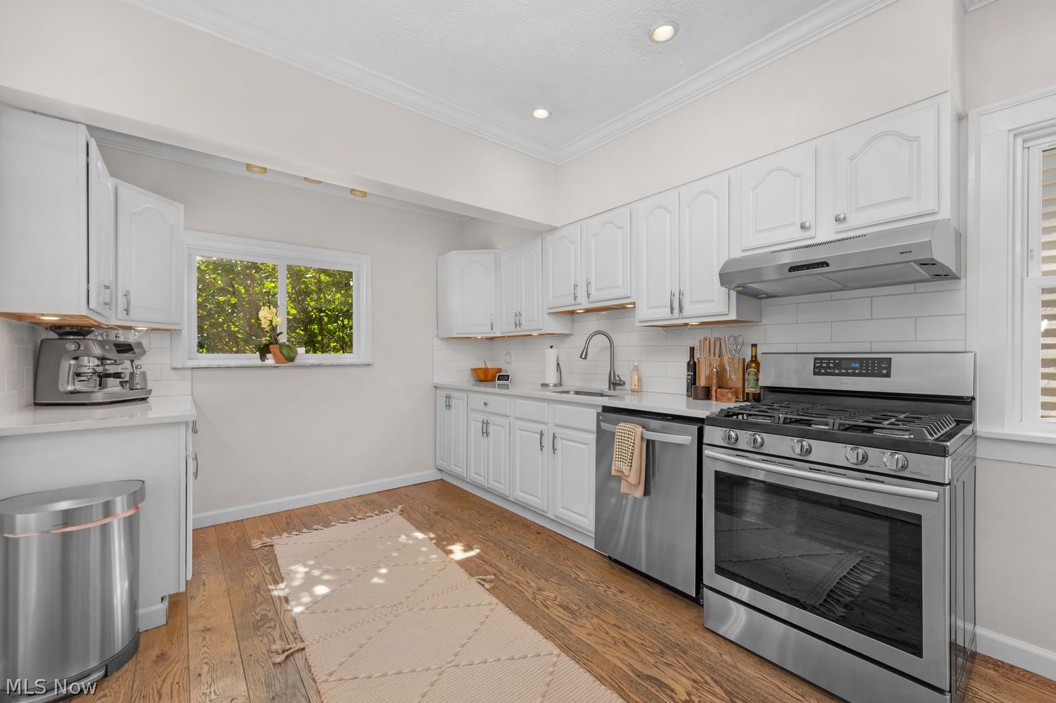 1533 Lewis Drive Lakewood OH 44107