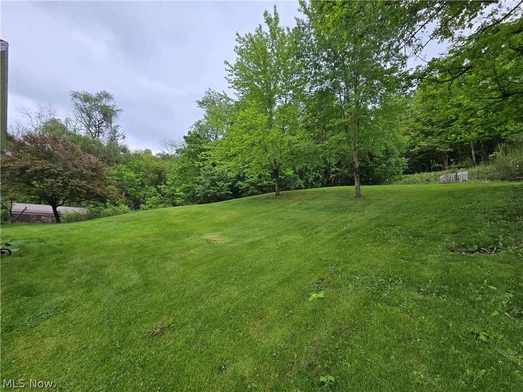 67480 Plum Street Bridgeport OH 43912