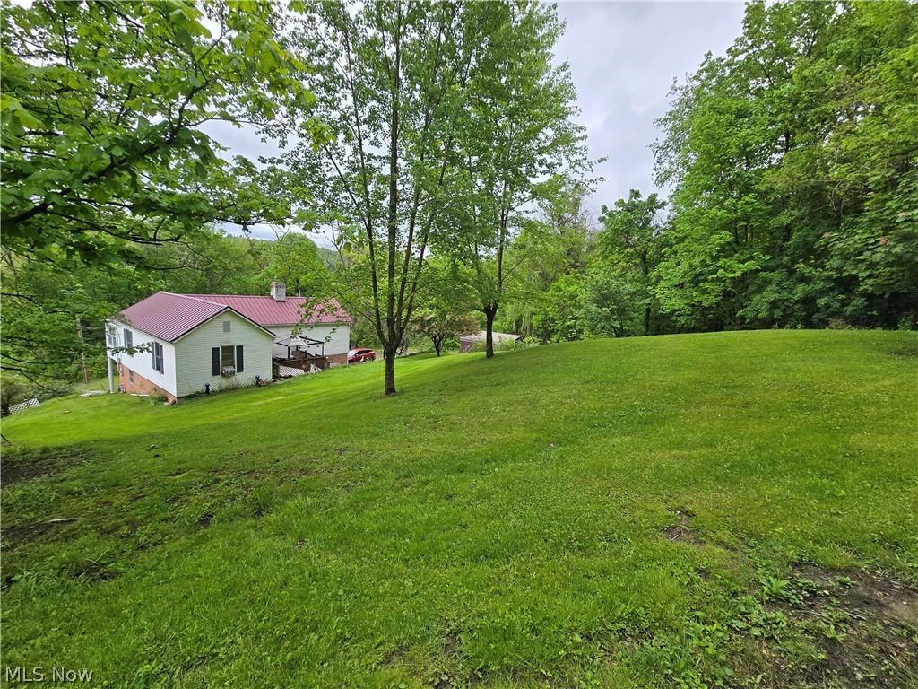 67480 Plum Street Bridgeport OH 43912