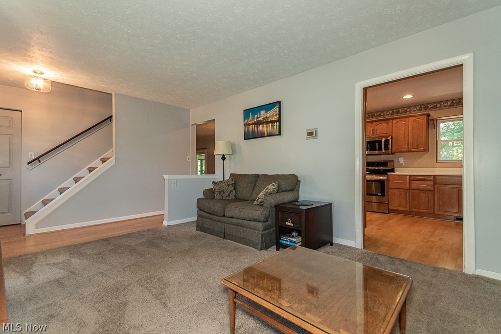 6151 Norwood Drive Mentor OH 44060