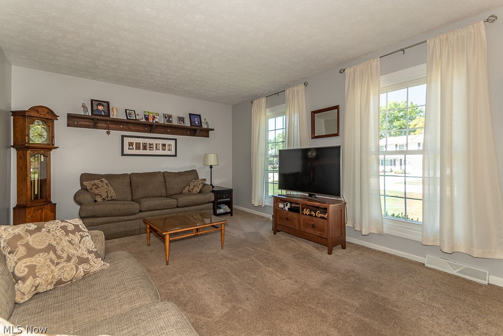 6151 Norwood Drive Mentor OH 44060