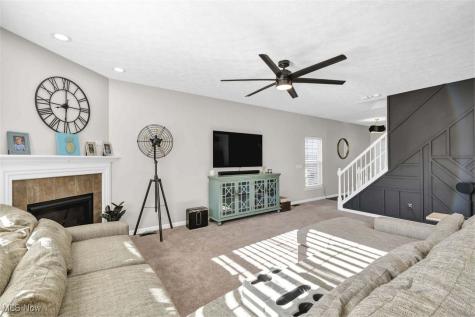 4513 Vineyard Drive Lorain OH 44053