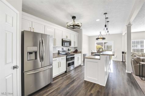 4513 Vineyard Drive Lorain OH 44053