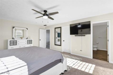4513 Vineyard Drive Lorain OH 44053