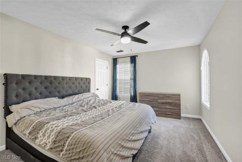 4513 Vineyard Drive Lorain OH 44053