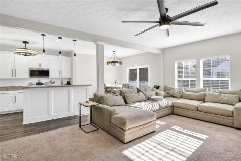 4513 Vineyard Drive Lorain OH 44053