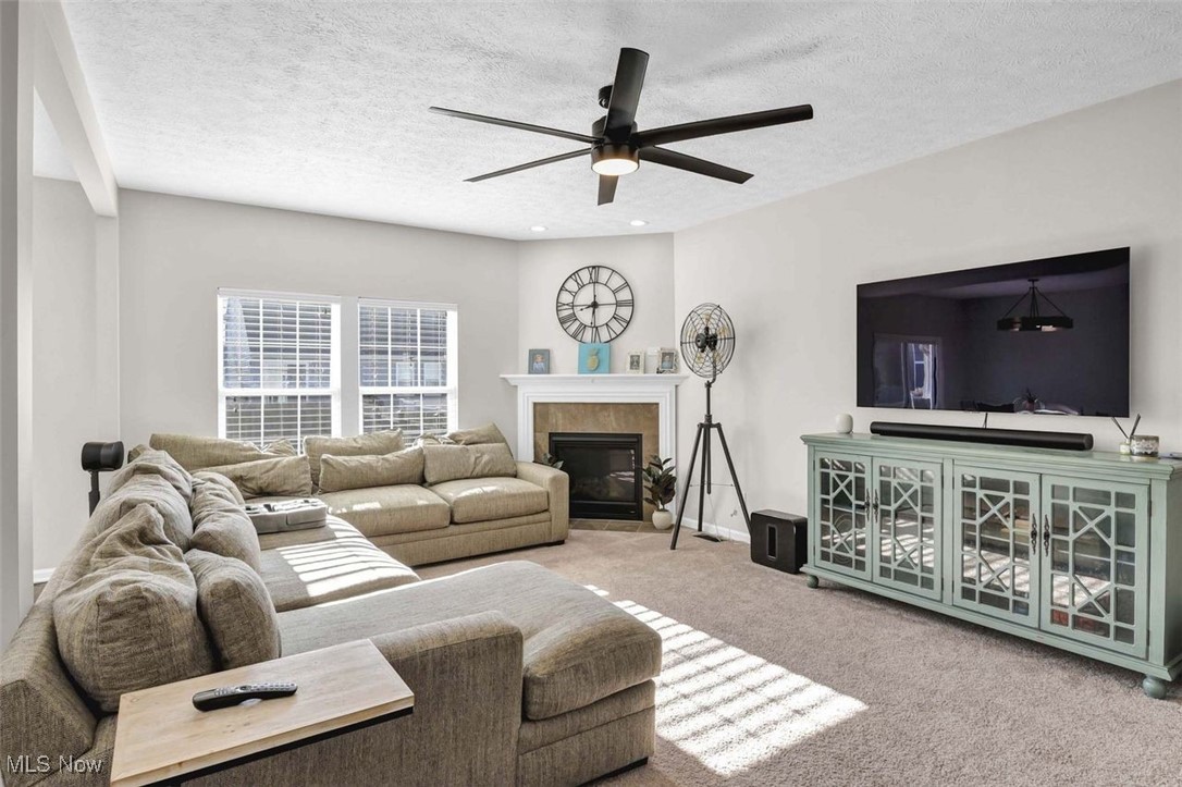 4513 Vineyard Drive Lorain OH 44053