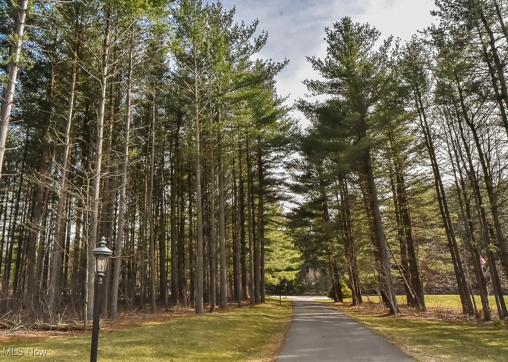 11660 Tall Pines Drive Chardon OH 44024