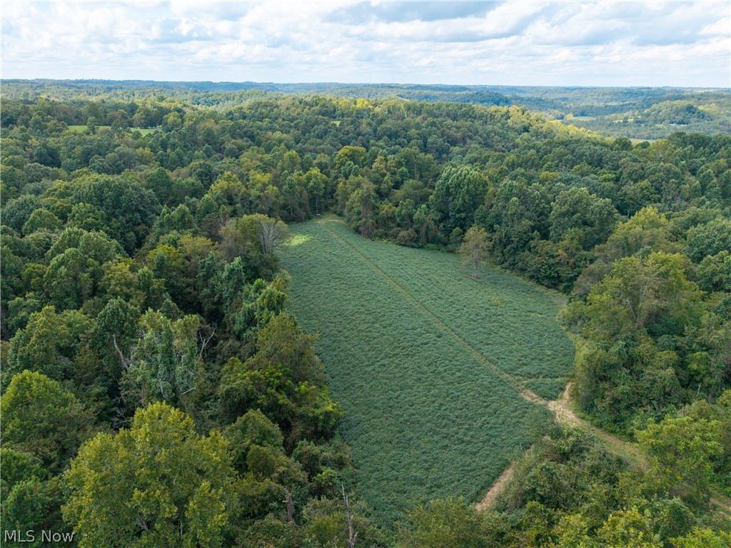 3930 Mcnally Road Stockport OH 43787