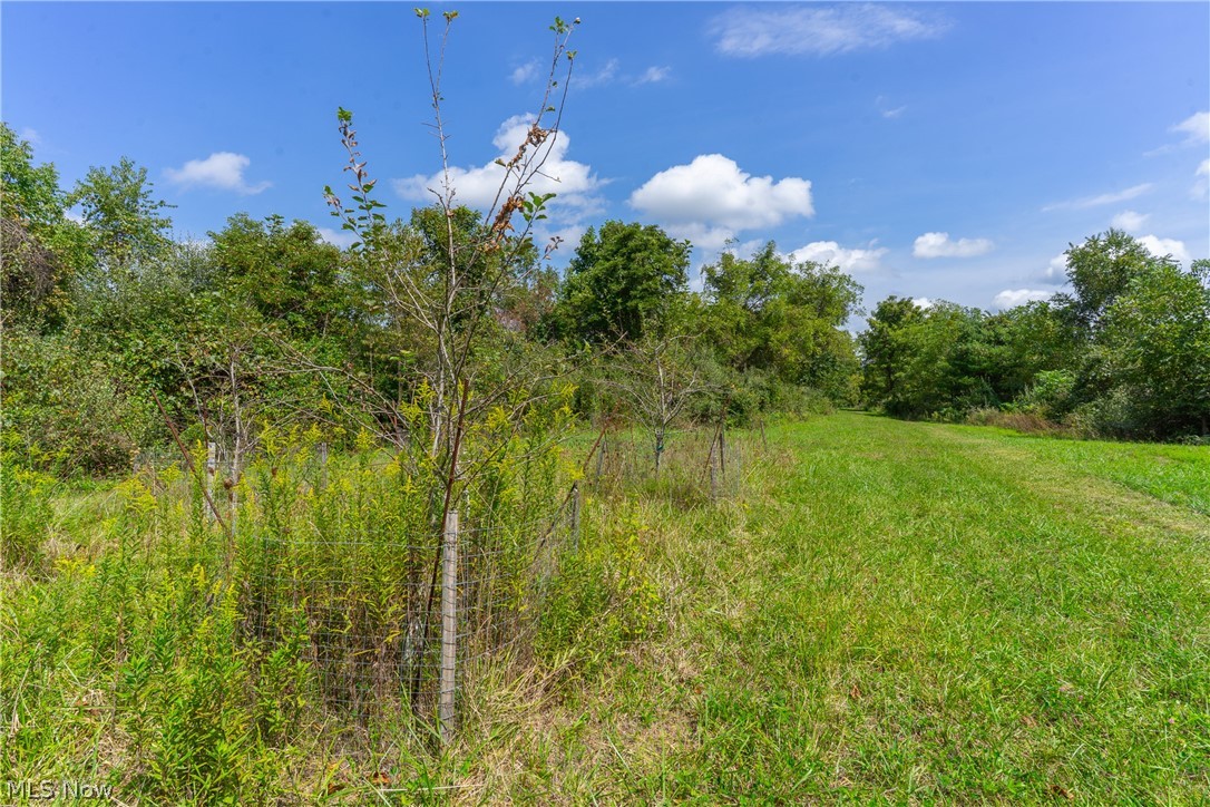 3930 Mcnally Road Stockport OH 43787