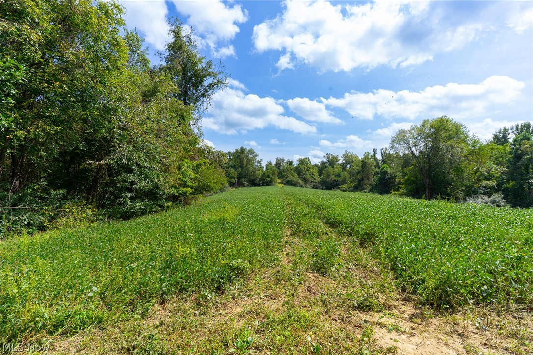 3930 Mcnally Road Stockport OH 43787