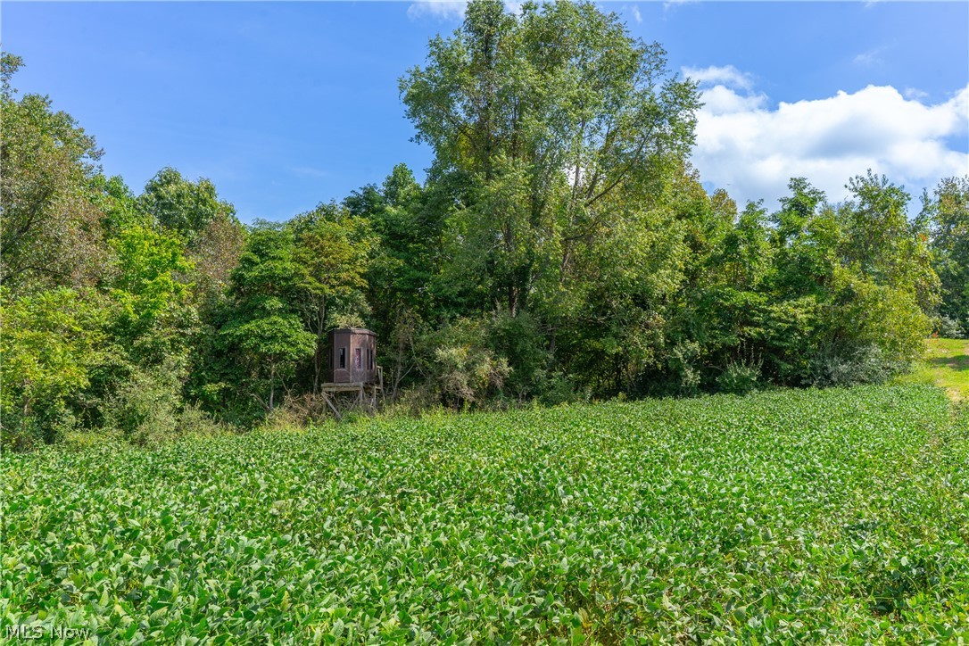 3930 Mcnally Road Stockport OH 43787