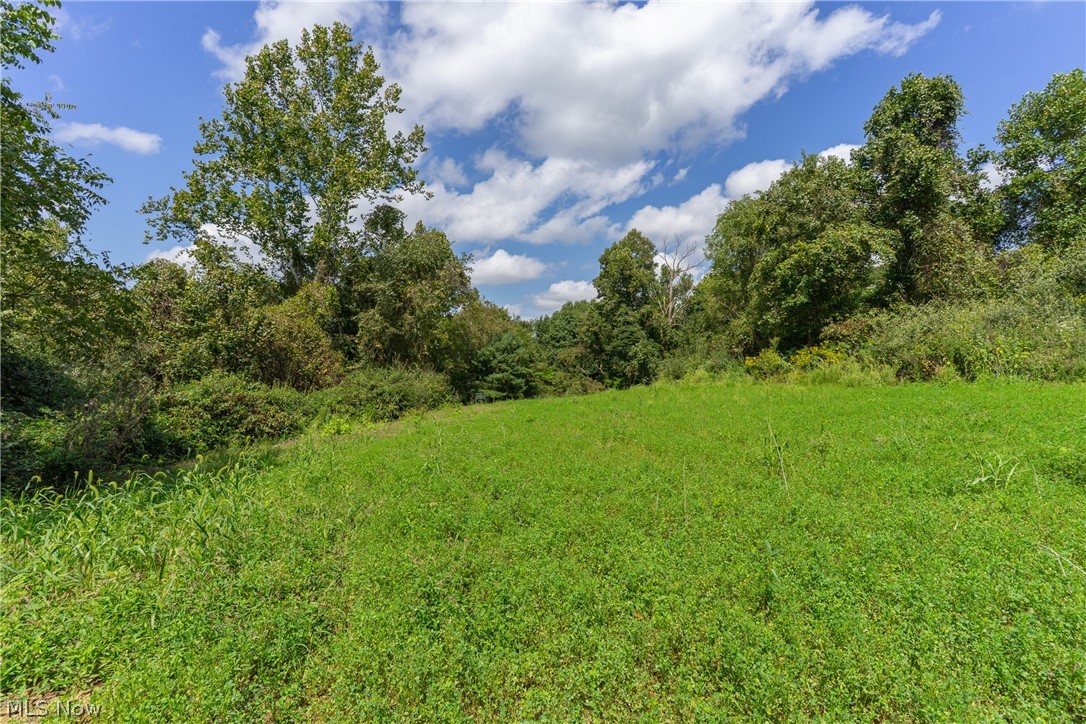 3930 Mcnally Road Stockport OH 43787
