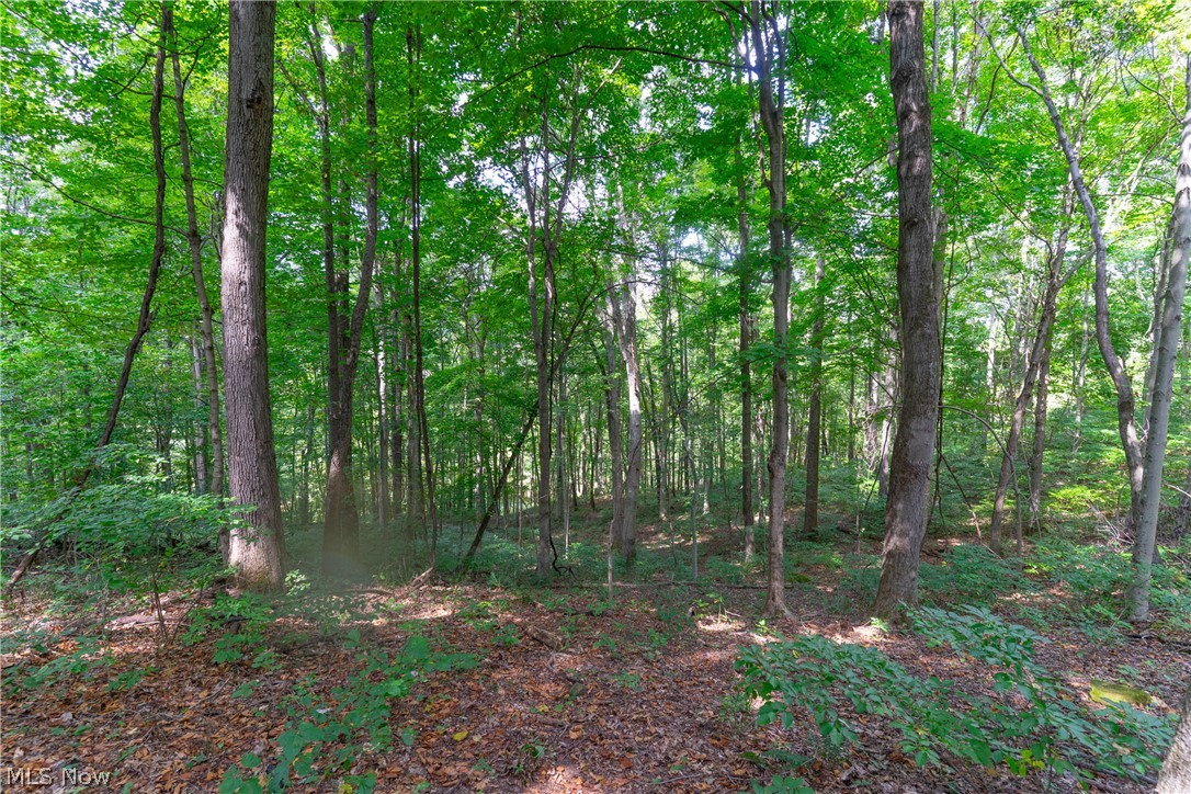3930 Mcnally Road Stockport OH 43787