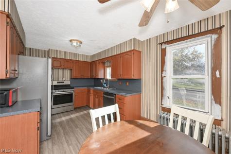 221 Mill Street Lodi OH 44254