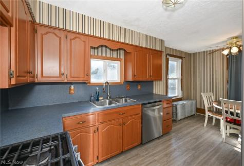 221 Mill Street Lodi OH 44254