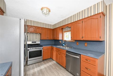 221 Mill Street Lodi OH 44254