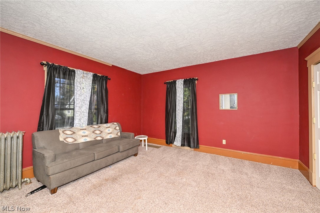 221 Mill Street Lodi OH 44254