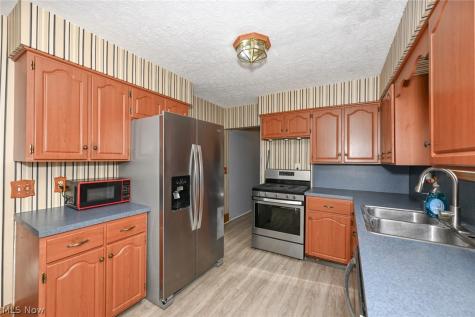 221 Mill Street Lodi OH 44254