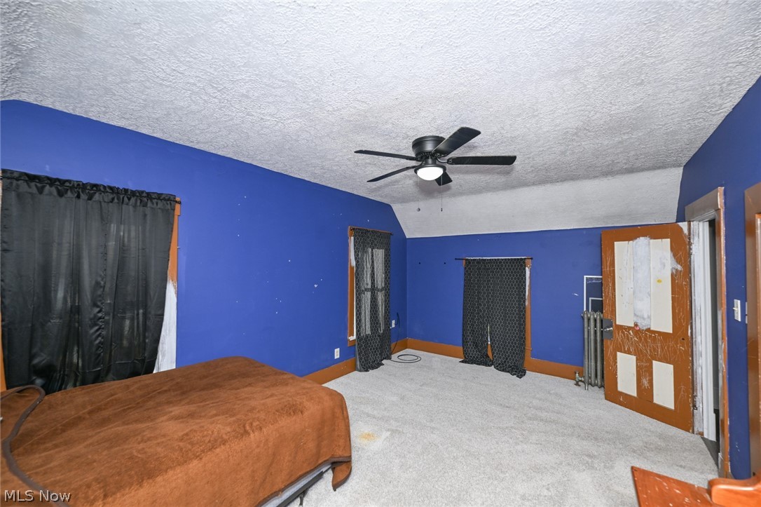 221 Mill Street Lodi OH 44254