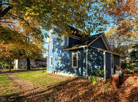 221 Mill Street Lodi OH 44254