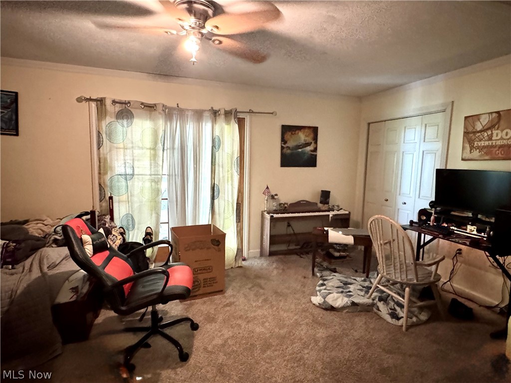 46144 Township Road 1163 Conesville OH 43811