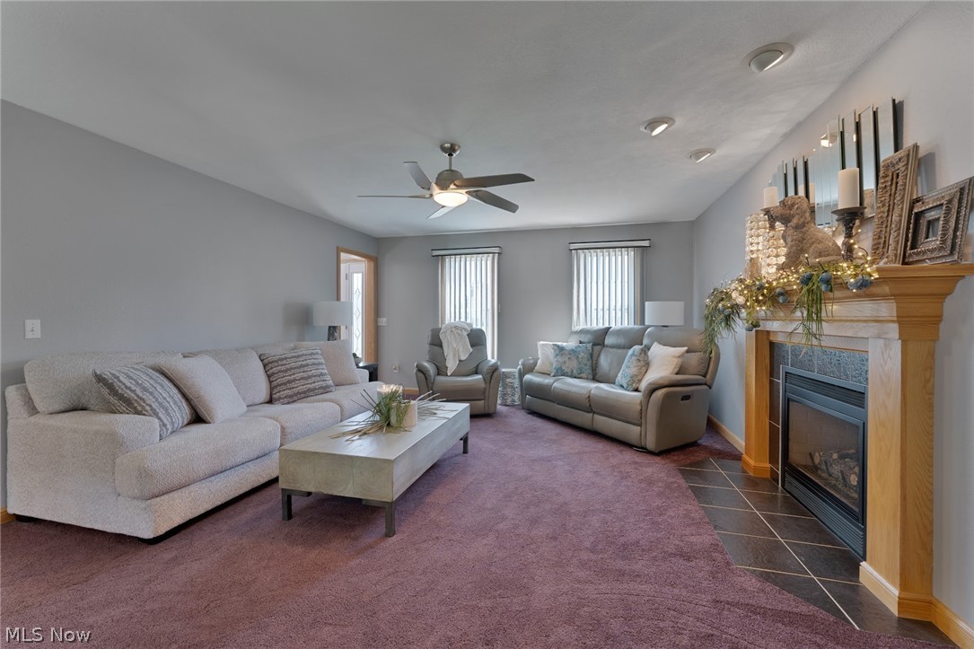 4200 W Candy Apple Court New Middletown OH 44442
