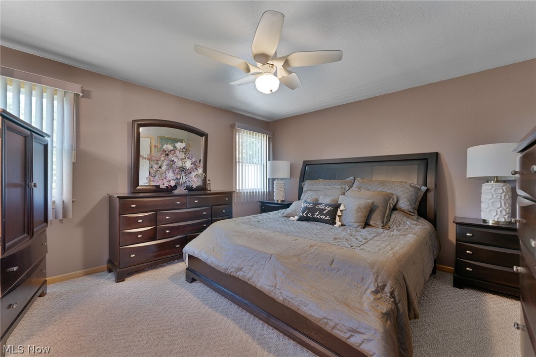 4200 W Candy Apple Court New Middletown OH 44442