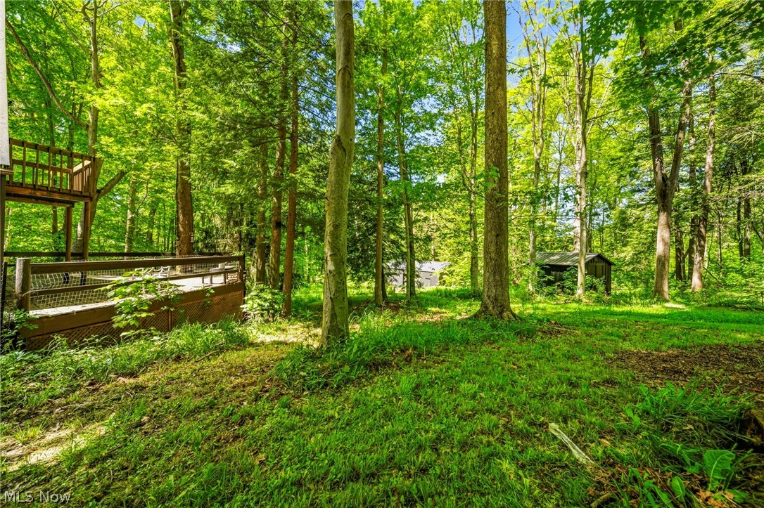 4233 N Forest Ridge Drive Ashtabula OH 44004