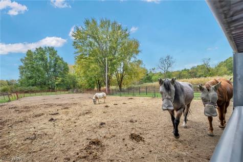 27261 Cook Road Olmsted Twp OH 44138