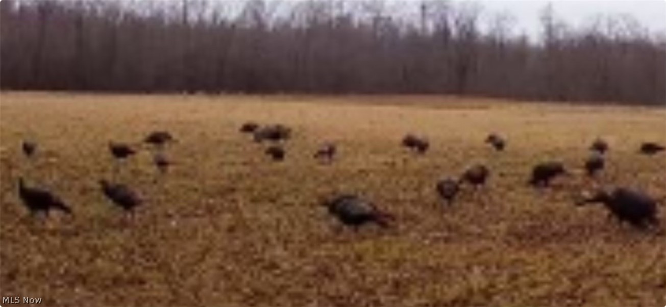 6019 New London Road Ashtabula OH 44004