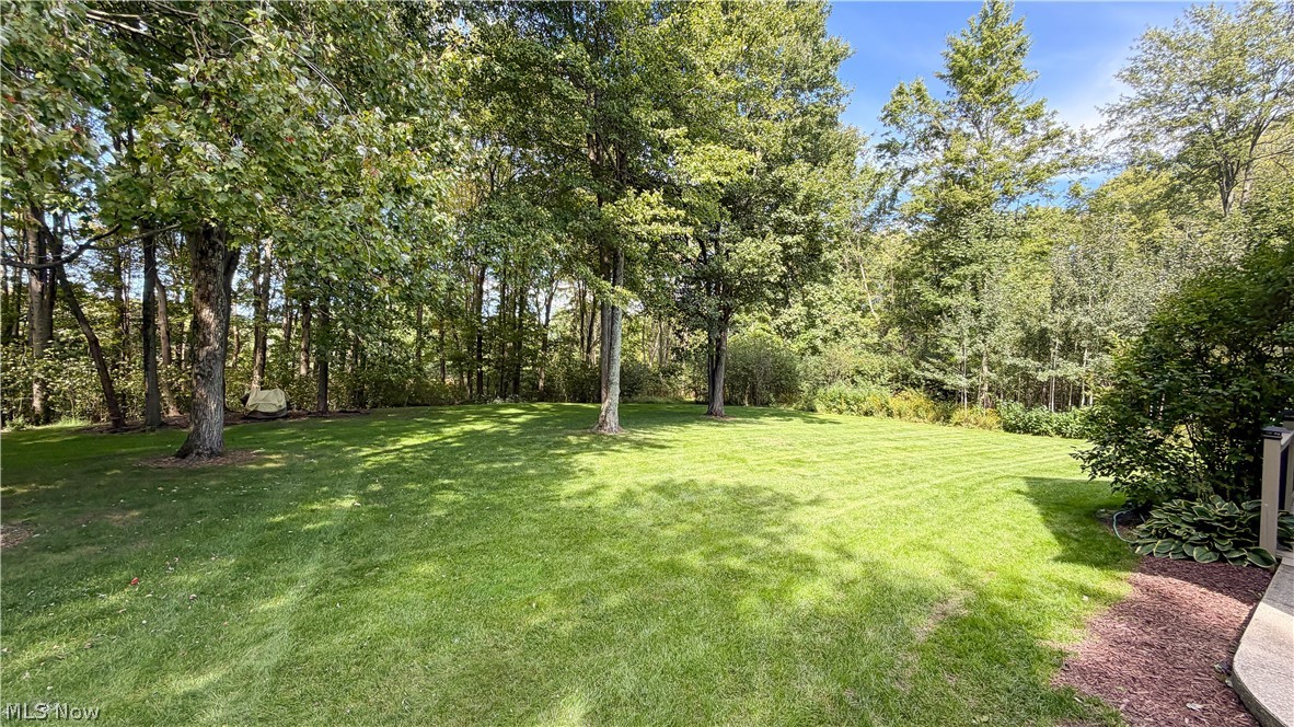 698 Deep Woods Drive Aurora OH 44202