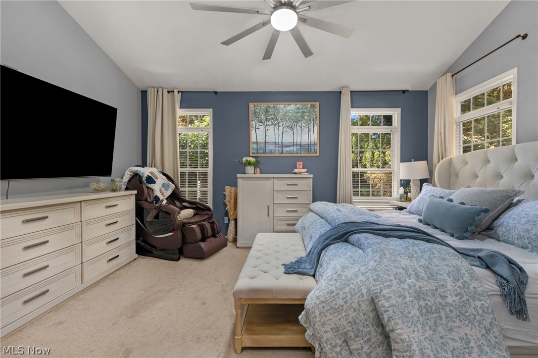 31722 Leeward Court Avon Lake OH 44012