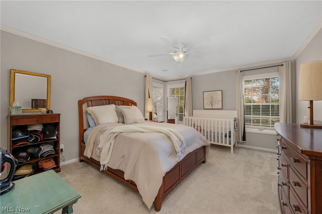 31722 Leeward Court Avon Lake OH 44012